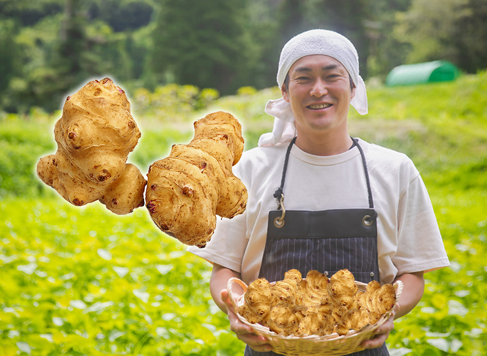 糖おさえ〜る」は100%北海道産の菊芋を使用