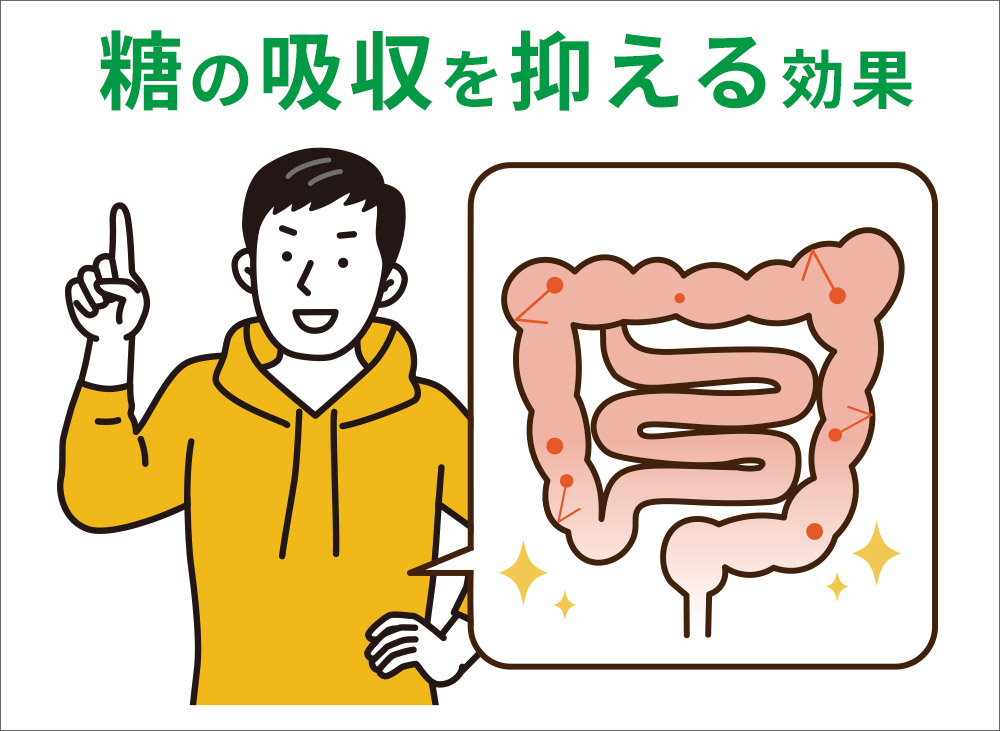 糖おさえ〜る」は100%北海道産の菊芋を使用